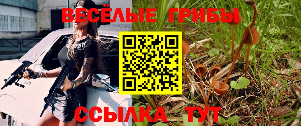 где продают   Вход с VPN  Новошахтинск  Галлюциногенные грибы прущие грибы 